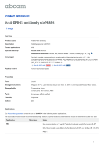 Anti-EPB41 antibody ab98854 Product datasheet 1 Image