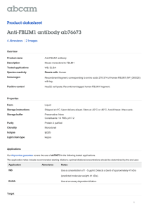 Anti-FBLIM1 antibody ab76673 Product datasheet 4 Abreviews 2 Images