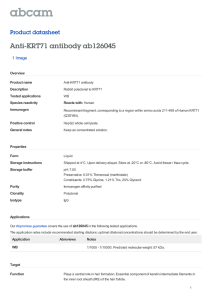 Anti-KRT71 antibody ab126045 Product datasheet 1 Image Overview