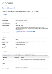Anti-KRT74 antibody - C-terminal ab135440 Product datasheet 1 Image Overview