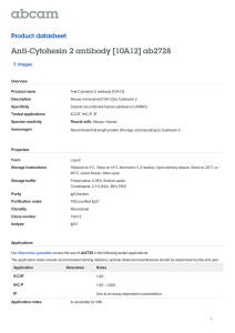 Anti-Cytohesin 2 antibody [10A12] ab2728 Product datasheet 5 Images Overview