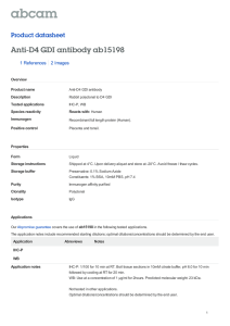 Anti-D4 GDI antibody ab15198 Product datasheet 1 References 2 Images