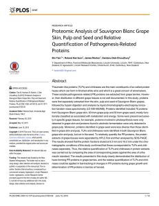 Proteomic Analysis of Sauvignon Blanc Grape Quantification of Pathogenesis-Related