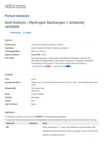 Anti-Sodium / Hydrogen Exchanger 1 antibody ab58304 Product datasheet 1 References