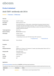 Anti-TAP1 antibody ab13516 Product datasheet 1 Abreviews Overview