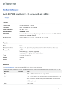 Anti-DIP13B antibody - C-terminal ab154661 Product datasheet 3 Images Overview