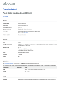 Anti-Dkk3 antibody ab187532 Product datasheet 4 Images Overview