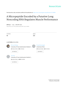 A	Micropeptide	Encoded	by	a	Putative	Long Noncoding	RNA	Regulates	Muscle	Performance 40 230