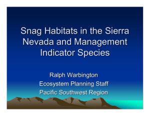 Snag Habitats in the Sierra Nevada and Management Indicator Species Ralph