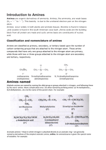 Introduction to Amines