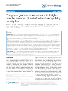 The goose genome sequence leads to insights to fatty liver