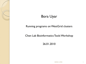 Bora Uyar Running programs on WestGrid clusters Chen Lab Bioinformatics Tools Workshop 26.01.2010