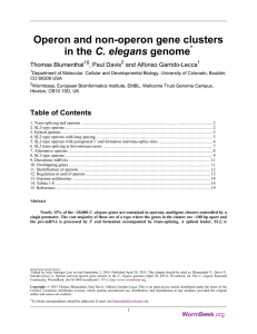 Operon and non-operon gene clusters C. elegans Thomas Blumenthal , Paul Davis