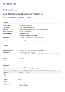 Anti-Cytokeratin 18 antibody ab53118 Product datasheet 1 Abreviews 3 Images