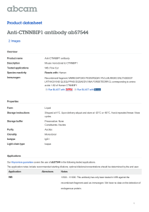 Anti-CTNNBIP1 antibody ab57544 Product datasheet 2 Images Overview