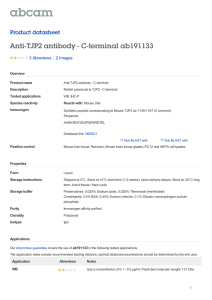 Anti-TJP2 antibody - C-terminal ab191133 Product datasheet 3 Abreviews 2 Images