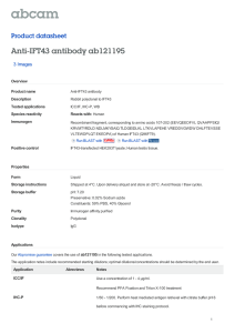 Anti-IFT43 antibody ab121195 Product datasheet 3 Images Overview