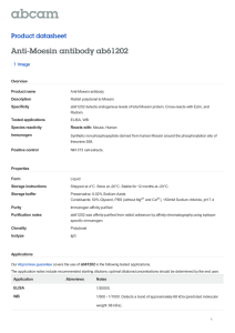 Anti-Moesin antibody ab61202 Product datasheet 1 Image Overview