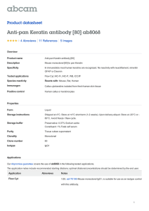 Anti-pan Keratin antibody [80] ab8068 Product datasheet 4 Abreviews 5 Images