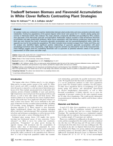 Tradeoff between Biomass and Flavonoid Accumulation