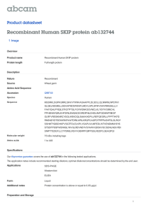 Recombinant Human SKIP protein ab132744 Product datasheet 1 Image Overview