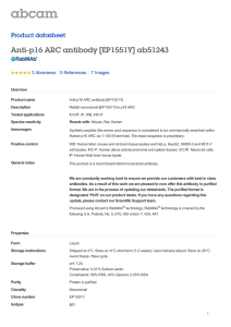 Anti-p16 ARC antibody [EP1551Y] ab51243 Product datasheet 3 Abreviews 7 Images