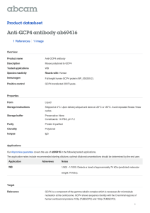 Anti-GCP4 antibody ab69416 Product datasheet 1 References 1 Image