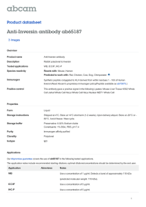 Anti-Inversin antibody ab65187 Product datasheet 3 Images