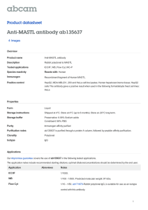 Anti-MASTL antibody ab135637 Product datasheet 4 Images Overview