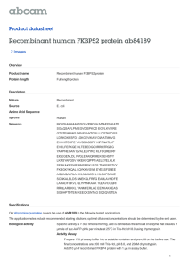 Recombinant human FKBP52 protein ab84189 Product datasheet 2 Images Overview