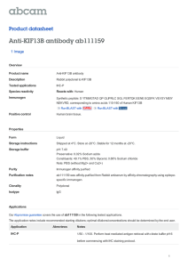 Anti-KIF13B antibody ab111159 Product datasheet 1 Image Overview