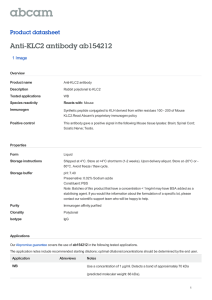 Anti-KLC2 antibody ab154212 Product datasheet 1 Image Overview