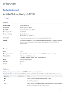 Anti-MCAK antibody ab71706 Product datasheet 3 Images