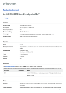 Anti-RAB11FIP5 antibody ab68947 Product datasheet 1 Image Overview