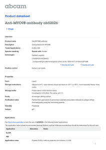 Anti-MYO9B antibody ab52026 Product datasheet 1 Image Overview