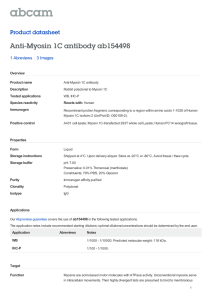 Anti-Myosin 1C antibody ab154498 Product datasheet 1 Abreviews 3 Images