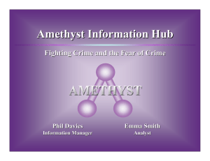 Amethyst Information Hub Fighting Crime and the Fear of Crime Phil Davies