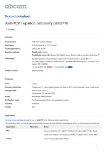 Anti-TCP1 epsilon antibody ab82778 Product datasheet 2 Images