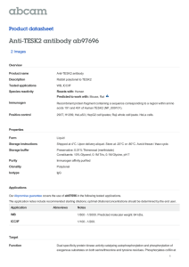 Anti-TESK2 antibody ab97696 Product datasheet 2 Images