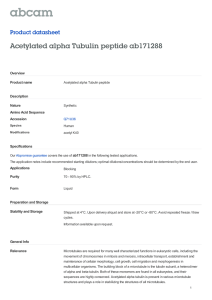 Acetylated alpha Tubulin peptide ab171288 Product datasheet Overview Product name