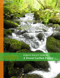 A Forest Carbon Future FOREST POLICY FORUM