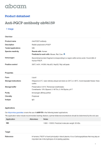Anti-PGCP antibody ab96159 Product datasheet 1 Image