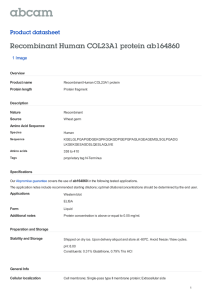 Recombinant Human COL23A1 protein ab164860 Product datasheet 1 Image Overview