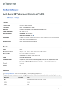 Anti-beta III Tubulin antibody ab76288 Product datasheet 1 References 1 Image