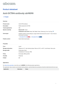 Anti-DCTN4 antibody ab98098 Product datasheet 2 Images