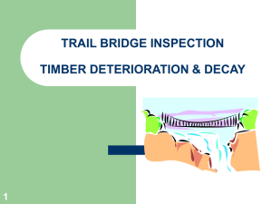 TRAIL BRIDGE INSPECTION TIMBER DETERIORATION &amp; DECAY 1