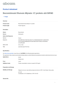 Recombinant Human Myosin 1C protein ab158940 Product datasheet 1 Image Overview