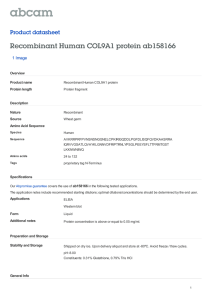 Recombinant Human COL9A1 protein ab158166 Product datasheet 1 Image Overview