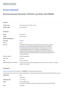 Recombinant Human COL9A1 protein ab194045 Product datasheet Overview Product name