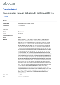 Recombinant Human Collagen III protein ab158156 Product datasheet 1 Image Overview